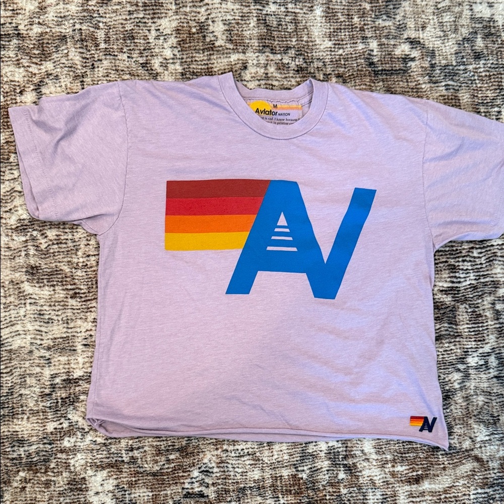 Aviator Nation Logo Boyfriend Tee in Purple